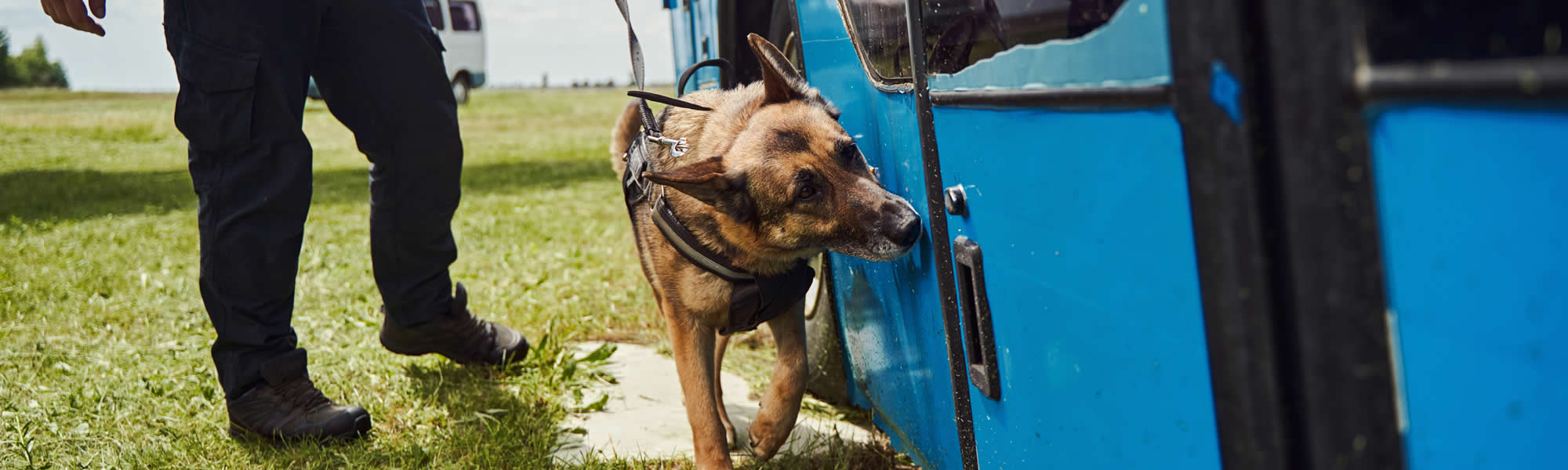 Security Services in Suffolk